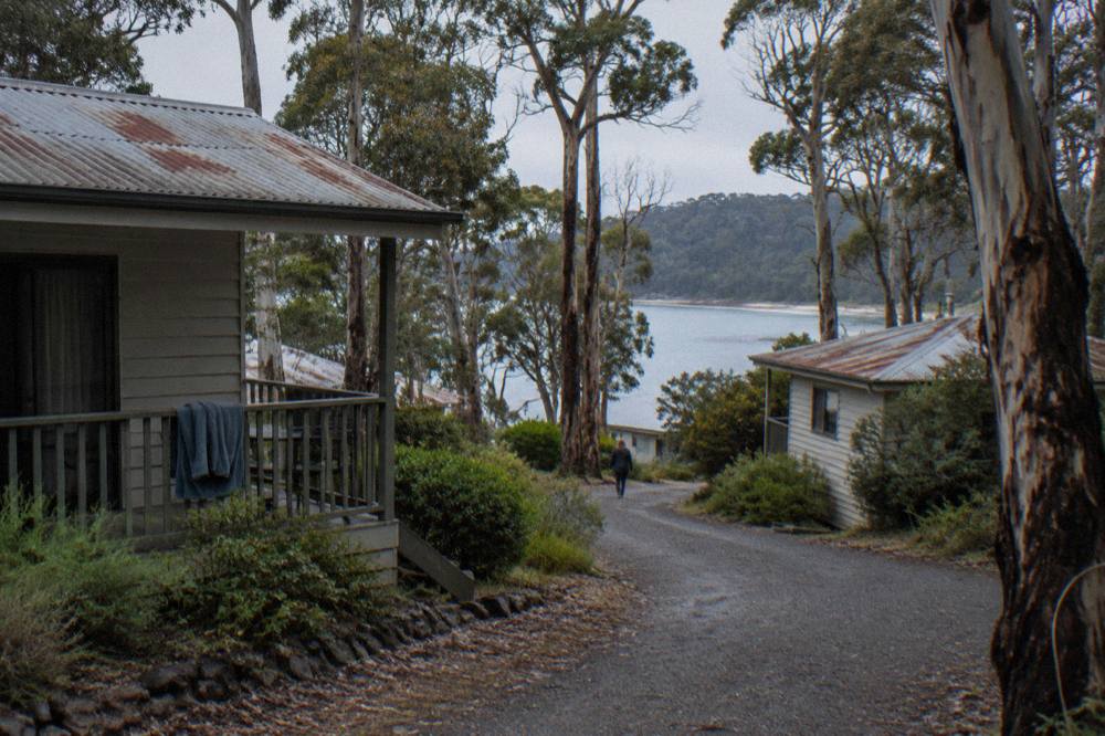 Timber holiday cottages set among gums above a sheltered bay
